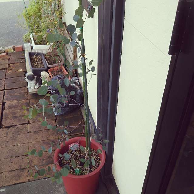 REI.DIYさんの実例写真