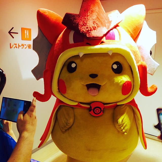 otomatuさんの実例写真