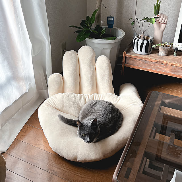 hada.iroさんの実例写真