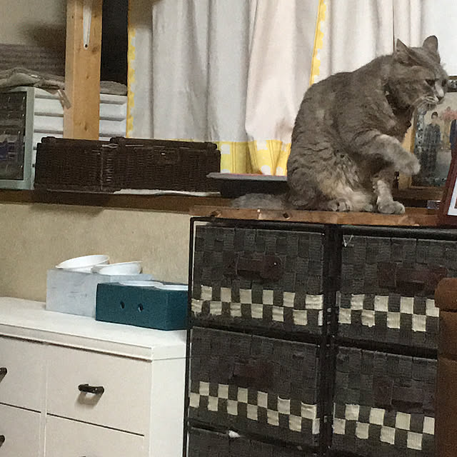 kmakkyiさんの実例写真