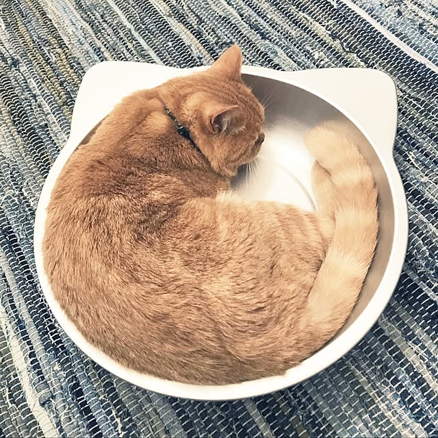 cocoさんの実例写真