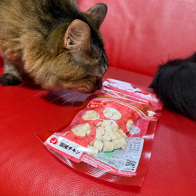 prelumoさんの部屋