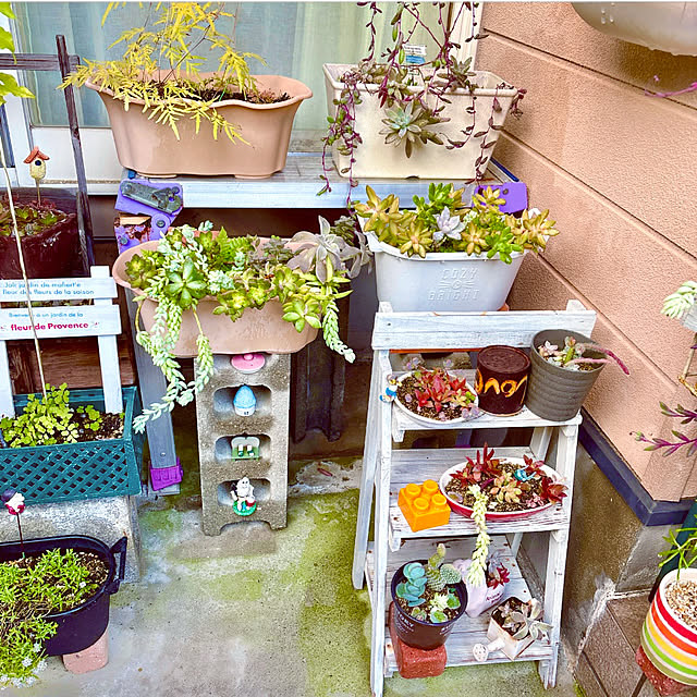 takakoさんの実例写真