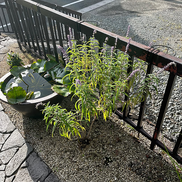 shin0719さんの実例写真