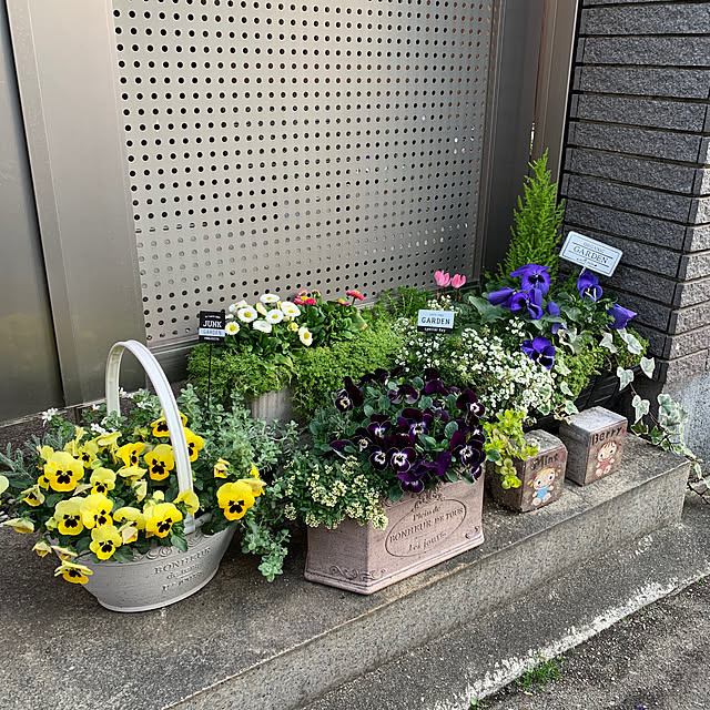 maayaさんの部屋