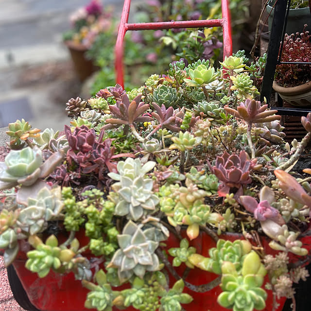 na-chanさんの実例写真