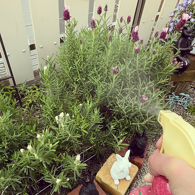 moolさんの部屋