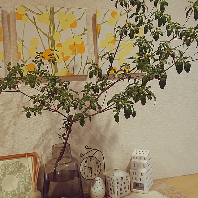 nattimomoさんの実例写真