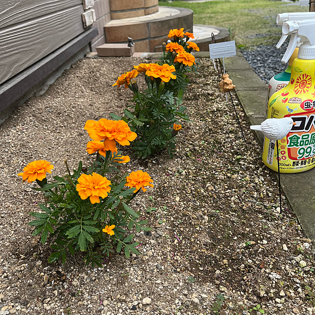 mogumoguさんの実例写真