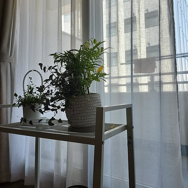 misaoさんの実例写真