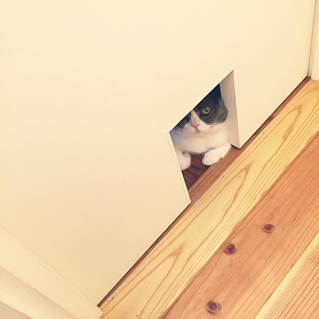 mohayaeteさんの実例写真