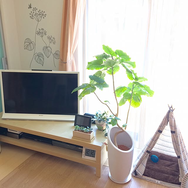 miyuさんの実例写真
