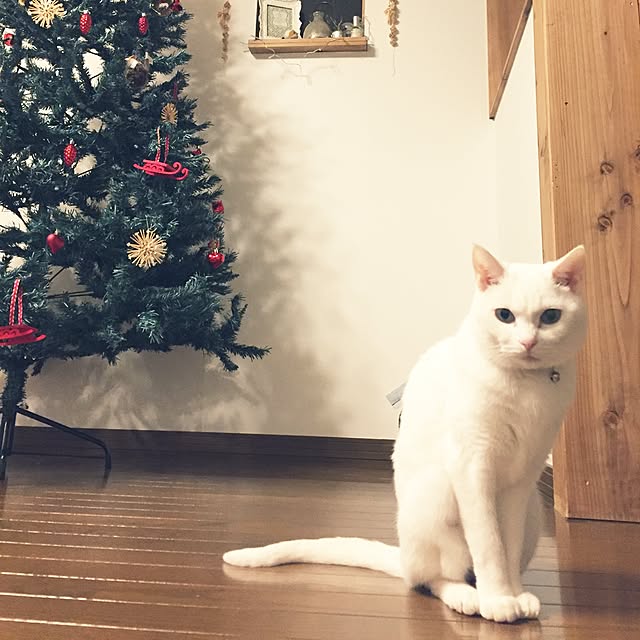 siroさんの実例写真