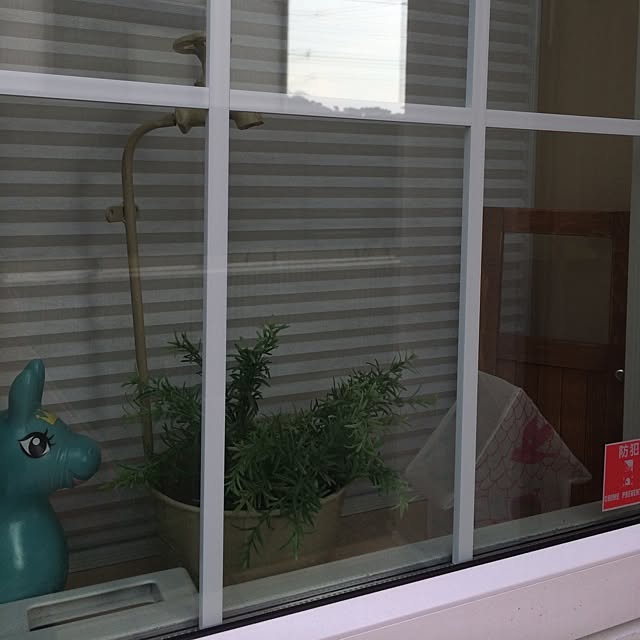 aotoさんの実例写真