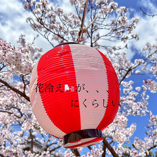 akaidarumaさんの部屋