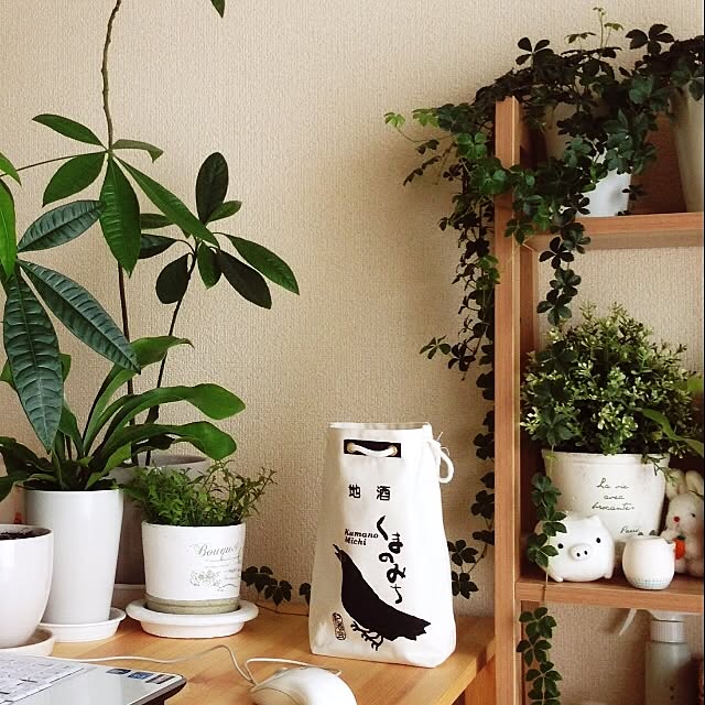 kentaさんの実例写真