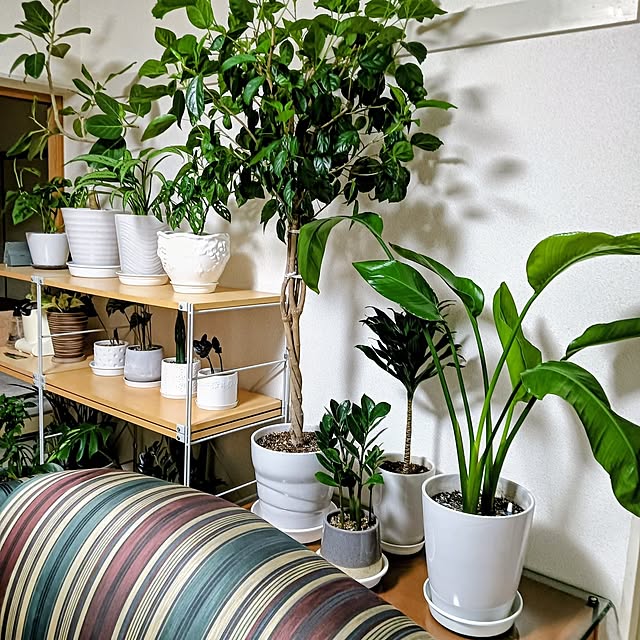 hanachanさんの部屋