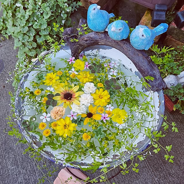 mocomocoさんの実例写真
