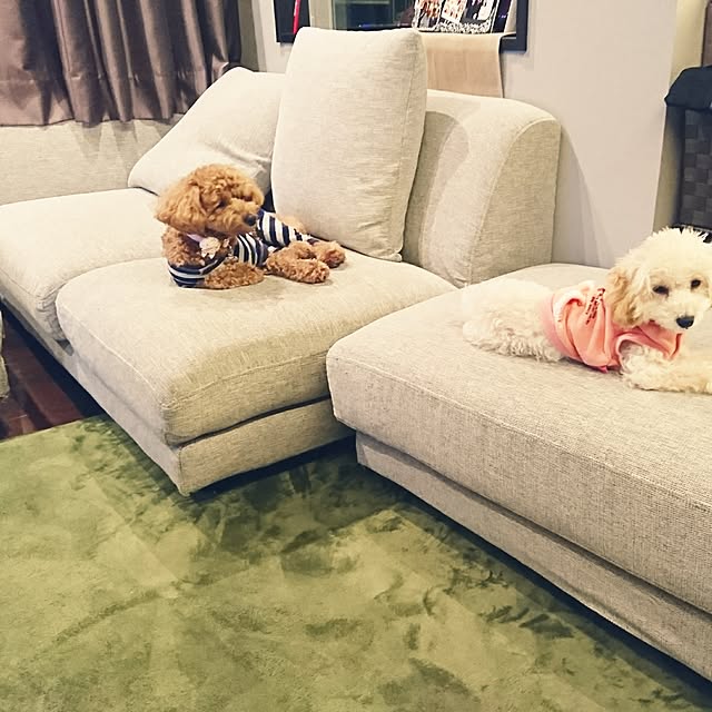 marron_milk_kuromameさんの実例写真