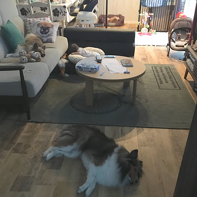 erumaryさんの実例写真