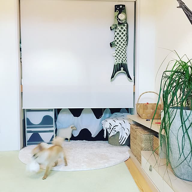 haruhinaさんの実例写真