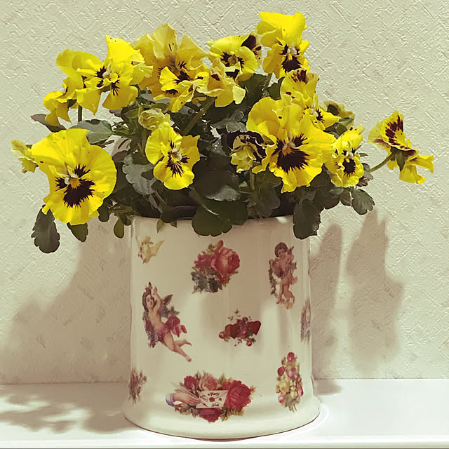 fuyiqian1026さんの実例写真