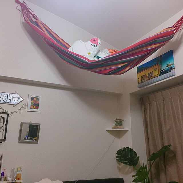 Yumikoさんの実例写真