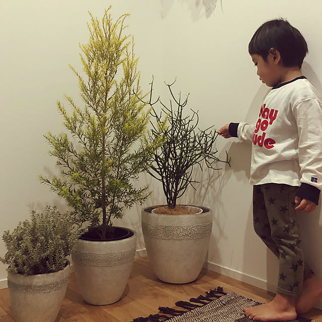 poa.t_hさんの実例写真