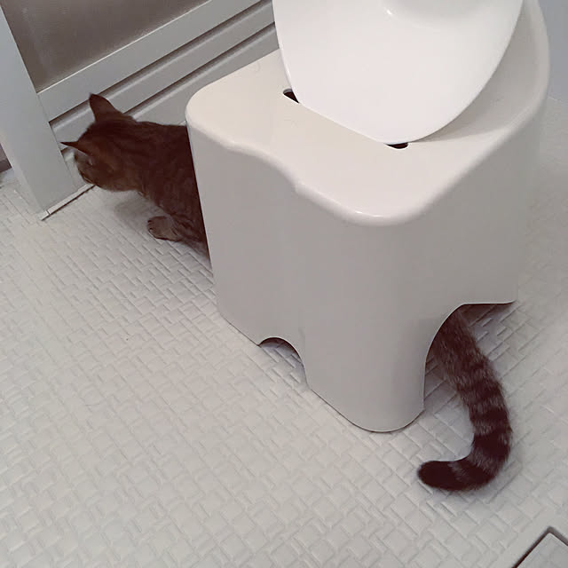 mikomaruさんの実例写真