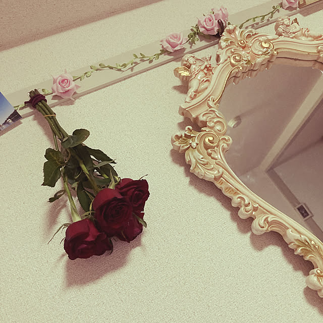 runahimeさんの実例写真