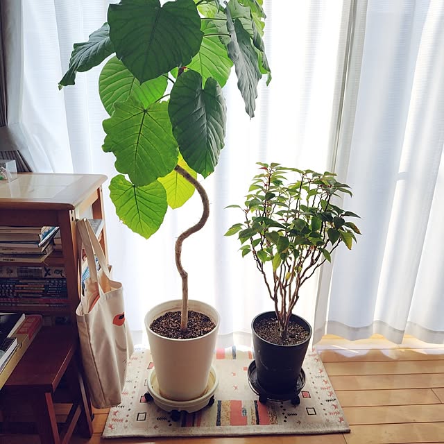 mutsuさんの部屋