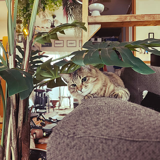 Mさんの部屋