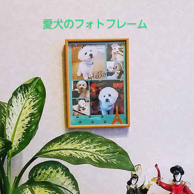 takoさんの実例写真