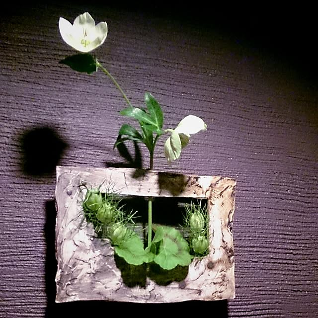 Gravityさんの実例写真