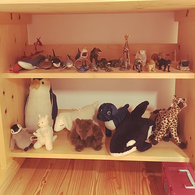 Norikoさんの実例写真