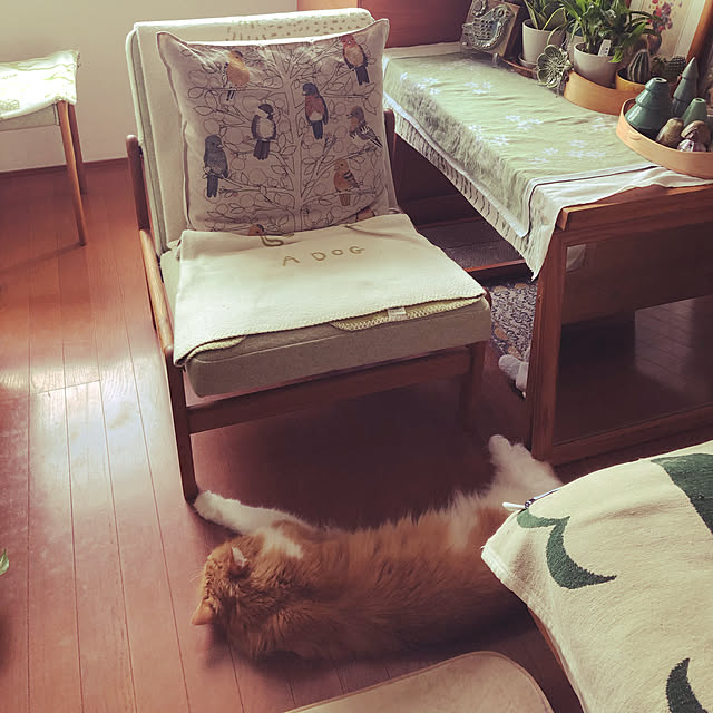 uchidaizuさんの実例写真