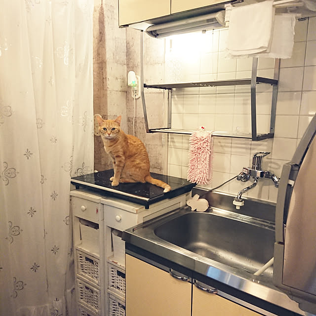 asuminさんの実例写真