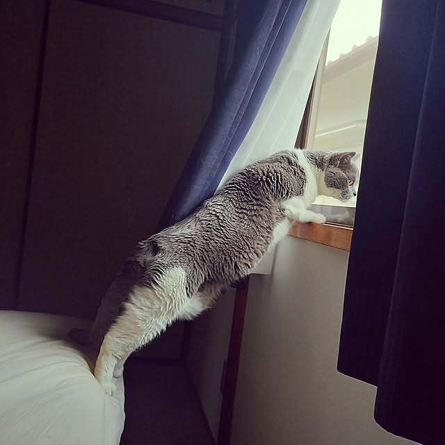 rhuさんの実例写真