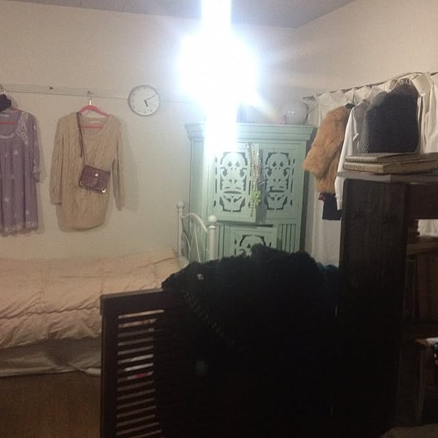 部屋全体/セリアのインテリア実例 - 2017-03-18 15:56:17