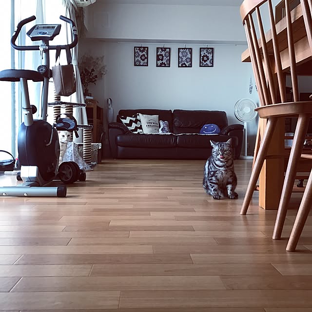 hiyupan88さんの実例写真
