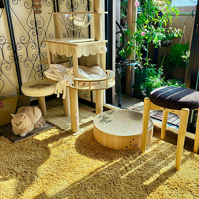 naokoさんの部屋