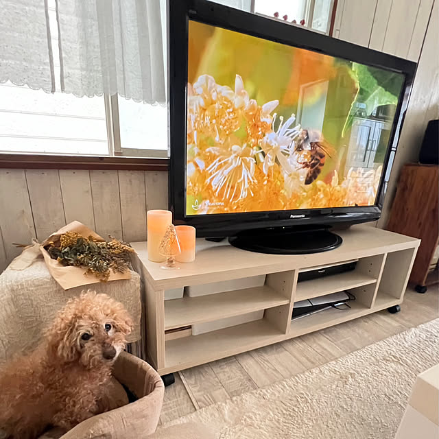 rookuさんの部屋