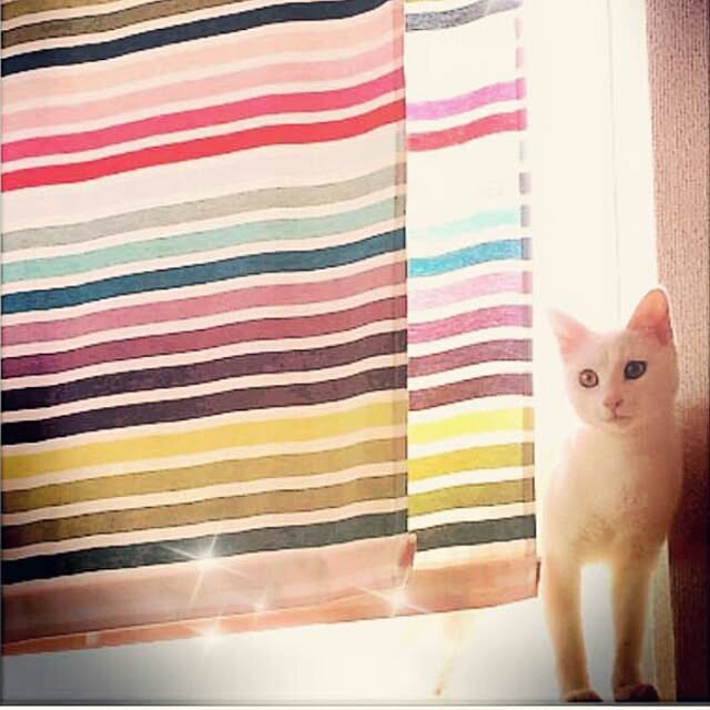 chanaさんの実例写真