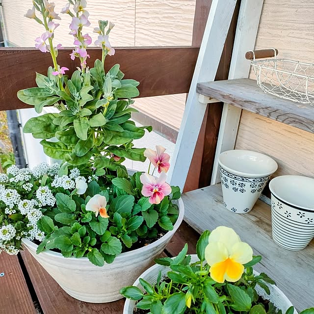 ai.happyplaceさんの部屋