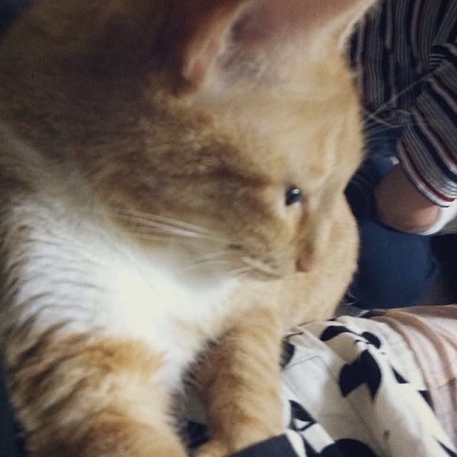 Yasumiさんの実例写真