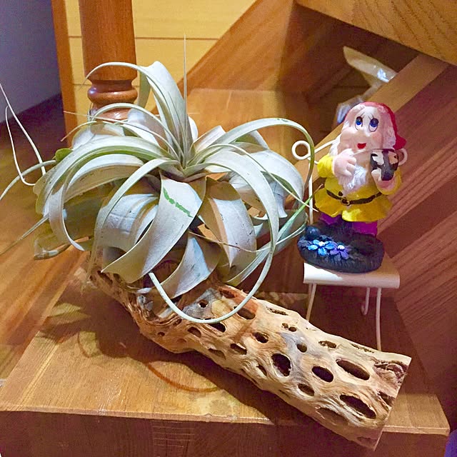 risaponさんの実例写真