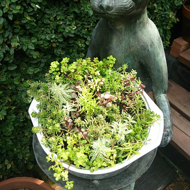 coronさんの実例写真