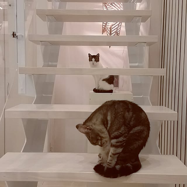 runayucoさんの実例写真