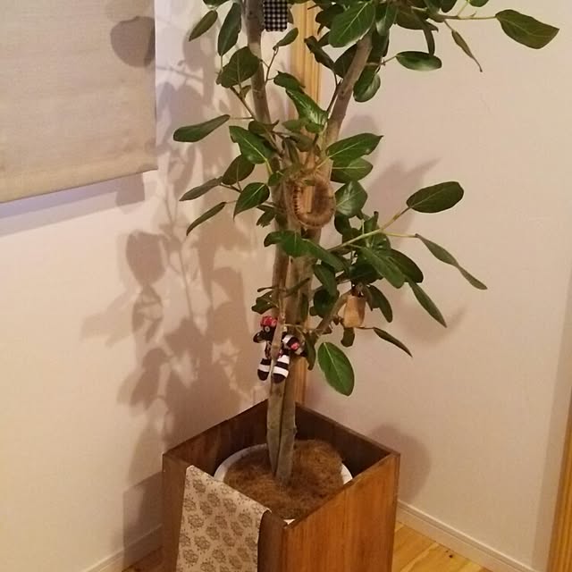 amoiさんの実例写真