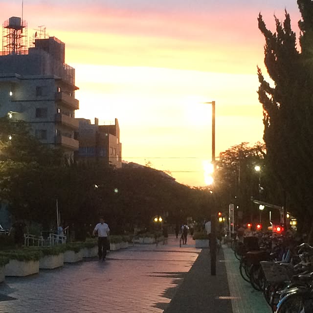 実例写真